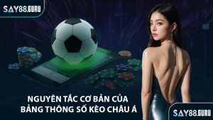 Nguyên tắc cơ bản của bảng thông số kèo châu Á